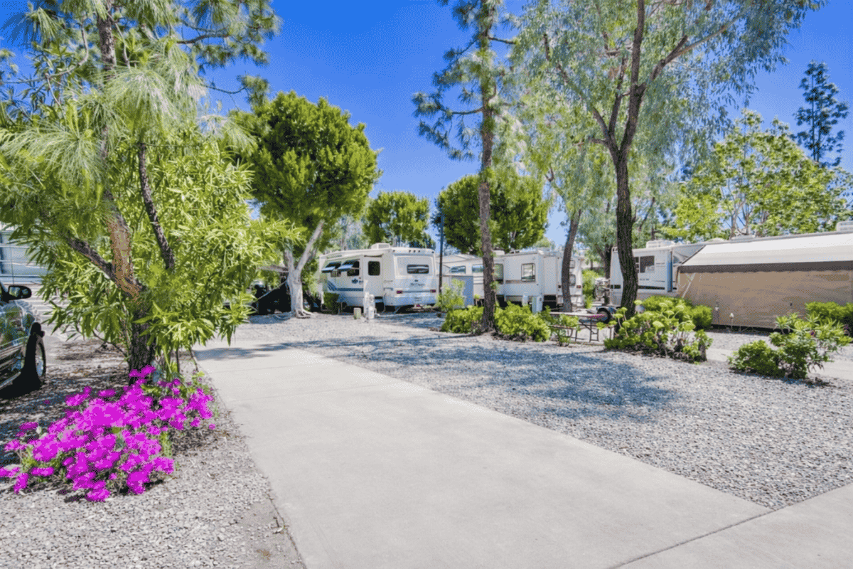 Luxury RV Site at Circle RV Resort