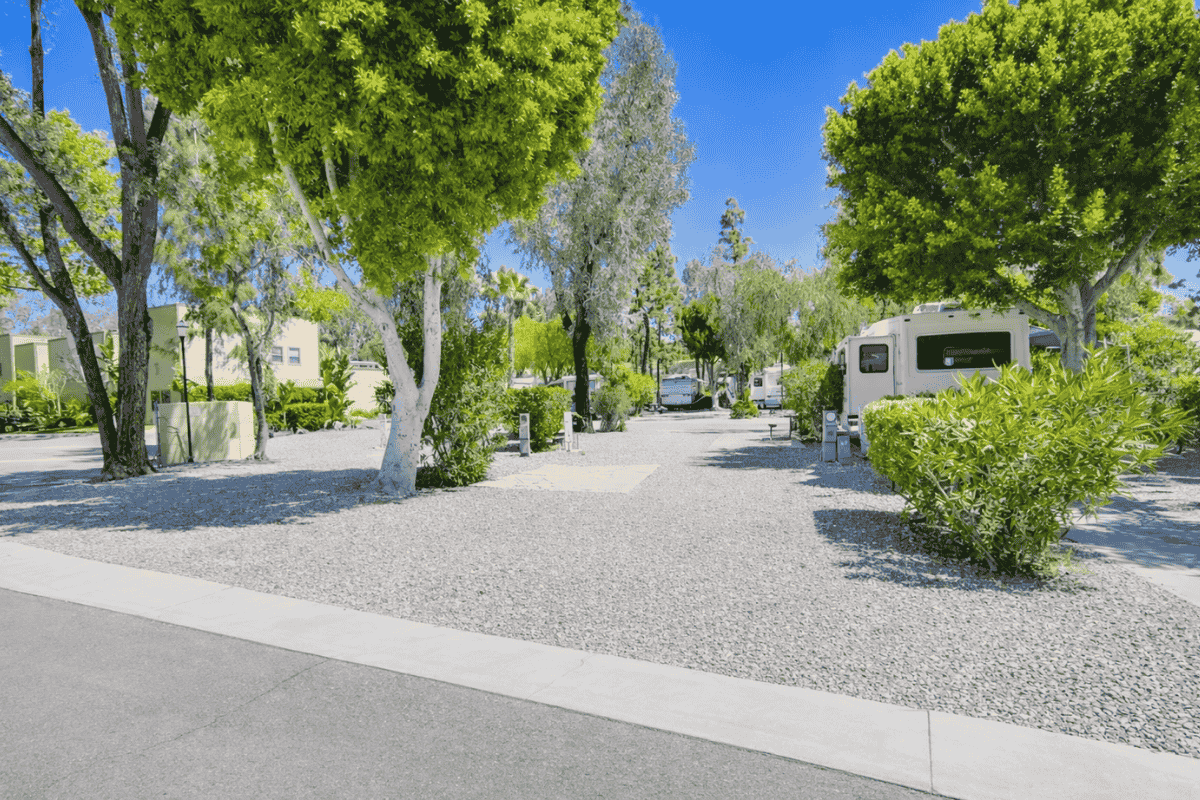 Pull Thru RV Site at Circle RV Resort