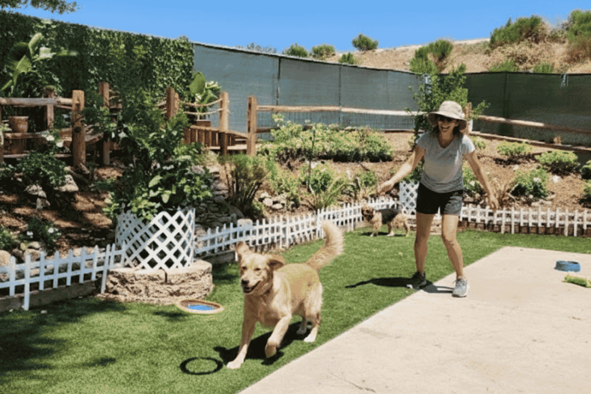 CIR dog run