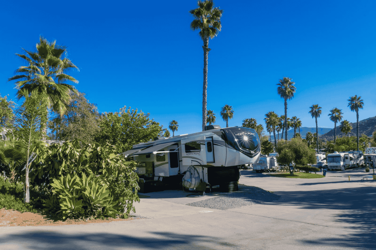 Scenic view of Oak Creek RV Resort featuring a luxury RV surrounded by lush palm trees and vibrant greenery under a clear blue sky.
