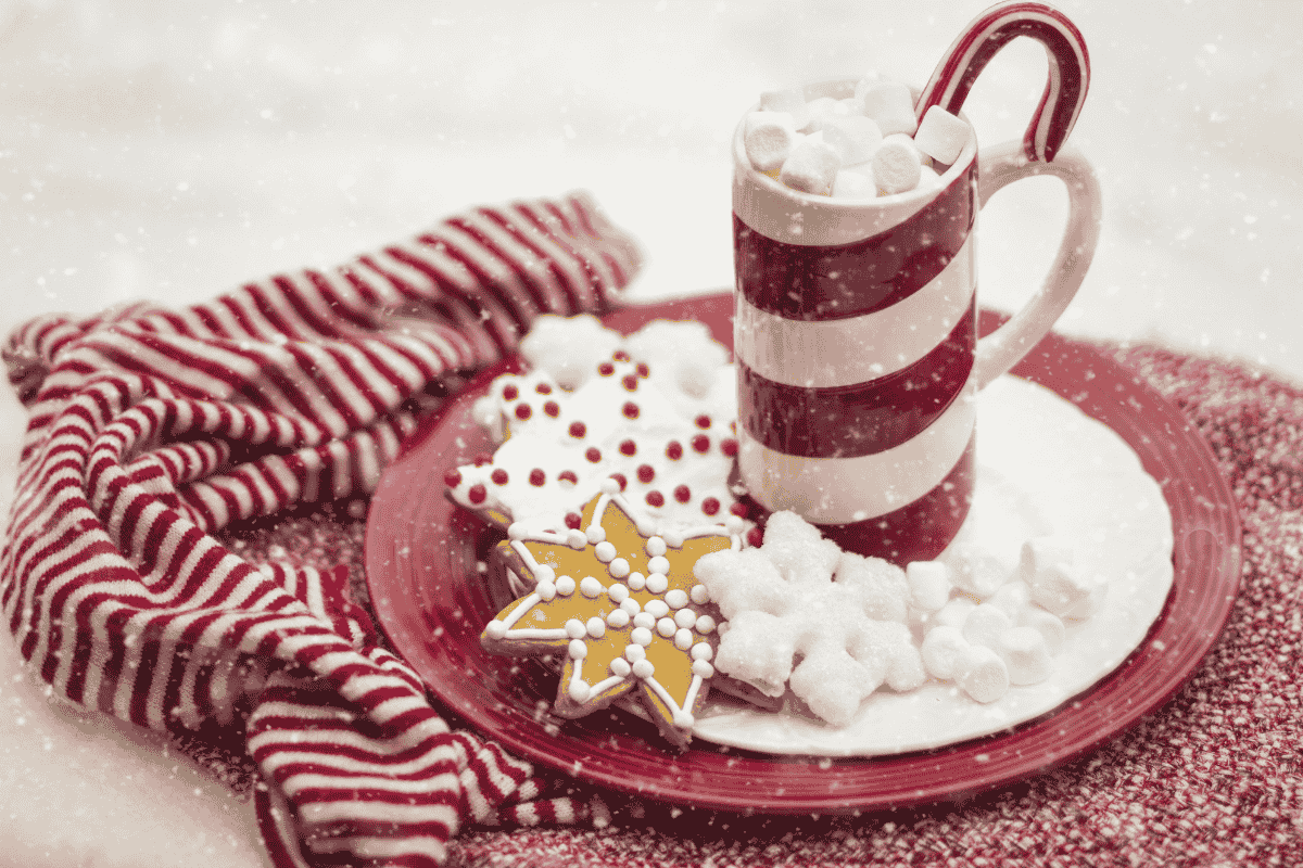 Hot cocoa and winter decorated cookie