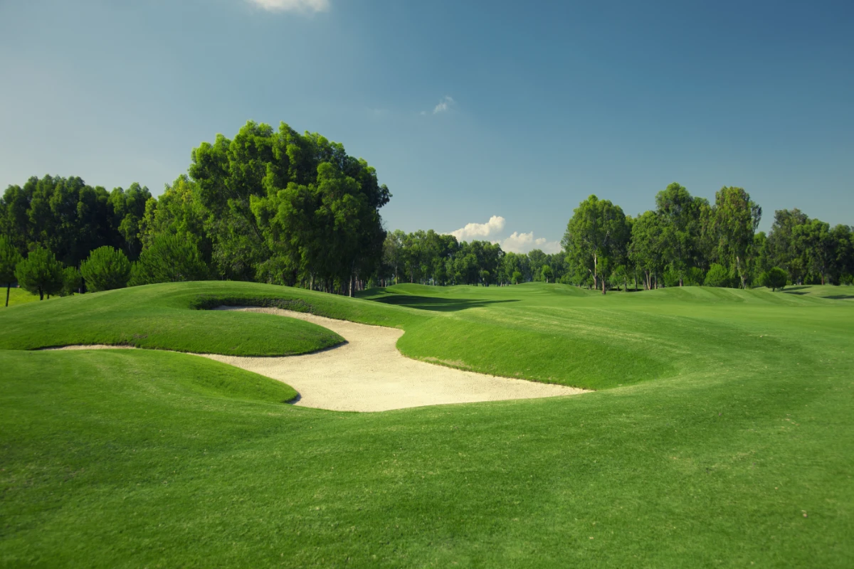 collina park golf course california.jpg