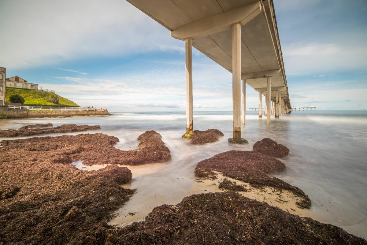 ocean beach california.jpg