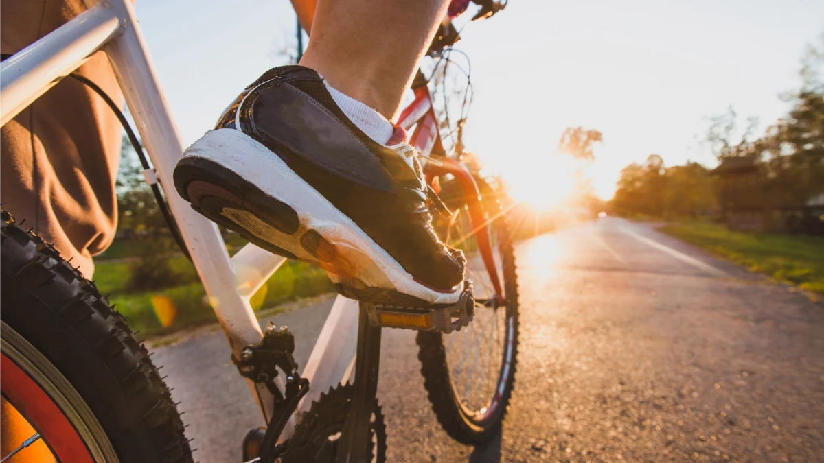 rose creek bike path san diego rv resort.jpg