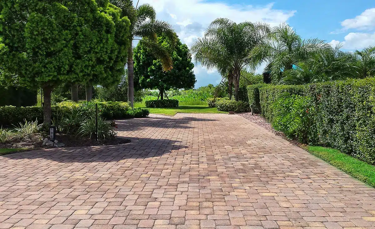 Brick driveway bordered by lush green hedges, palm trees, and neatly trimmed landscaping under a blue sky at Silver Palms RV Resort.