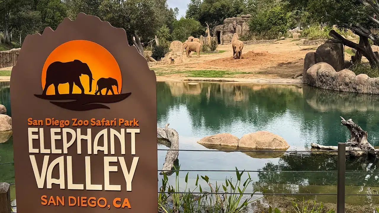 San Diego Zoo Safari Park