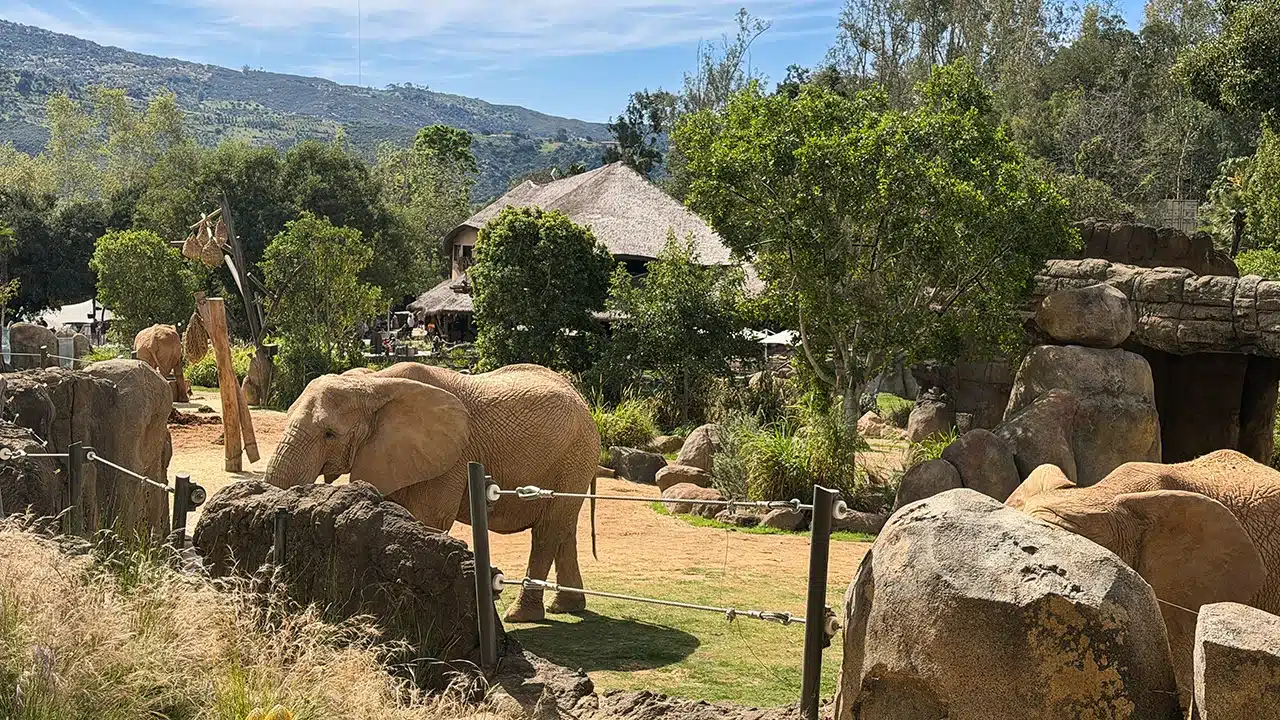 San Diego Zoo Safari Park