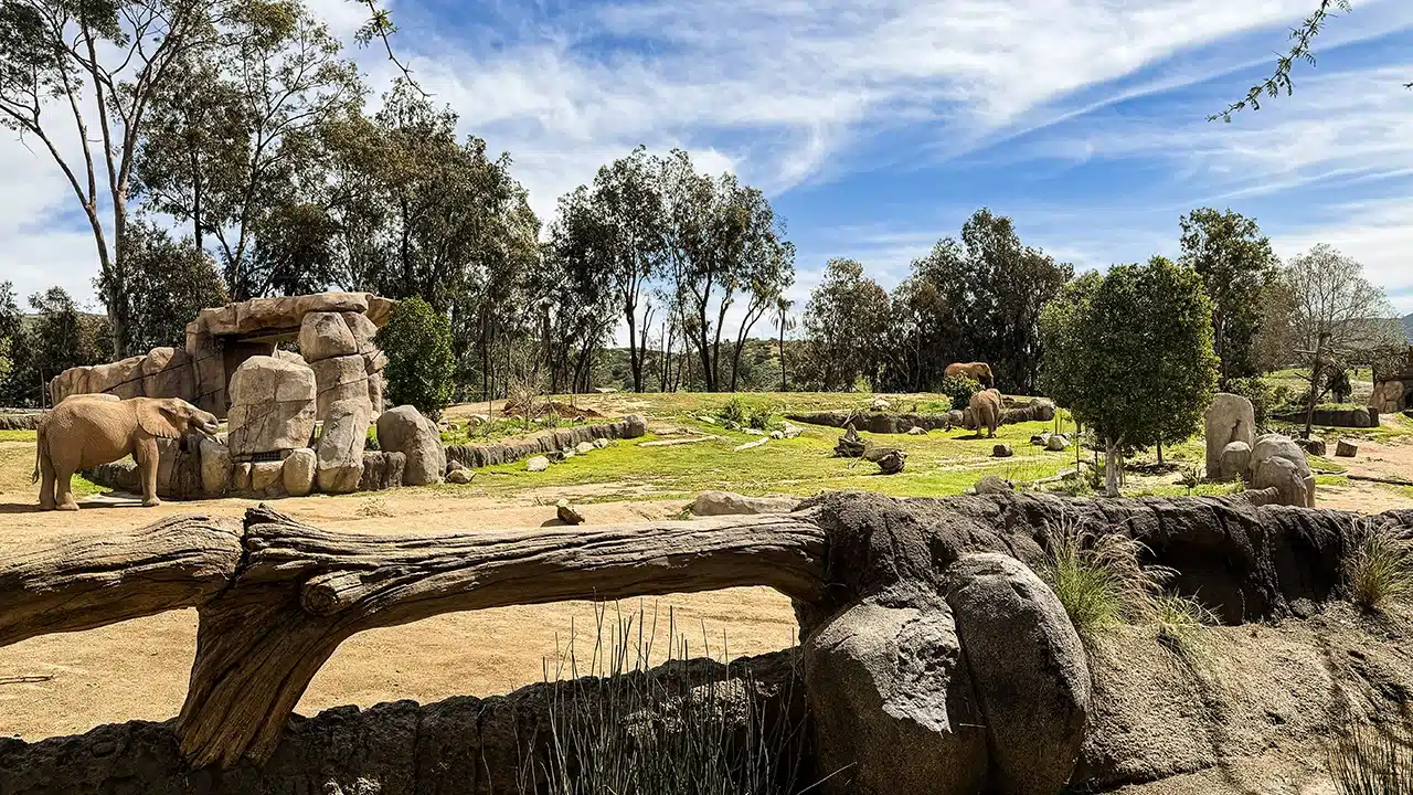 San Diego Zoo Safari Park
