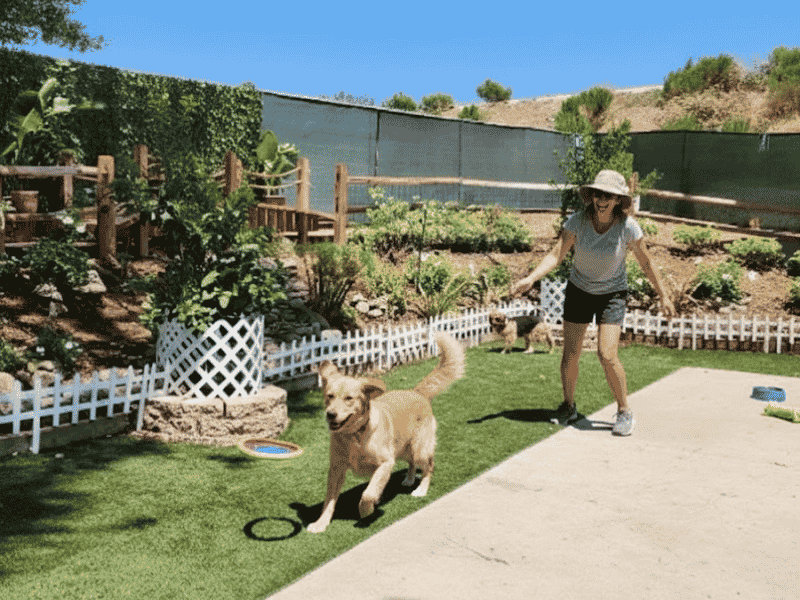 CIR dog park